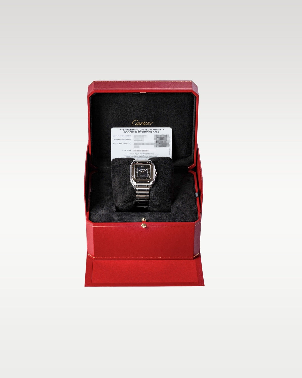 Cartier SANTOS WSSA0063