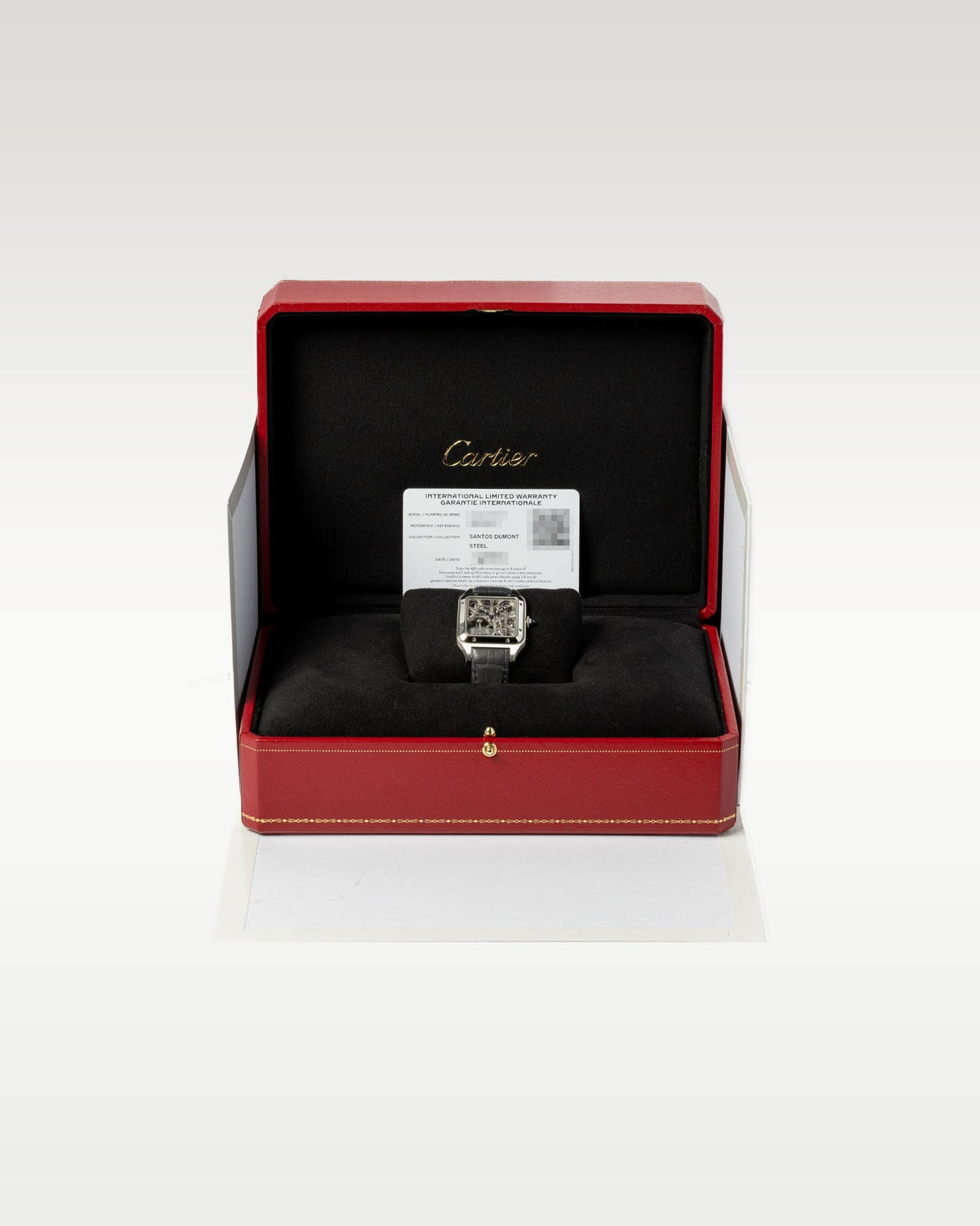Cartier Santos-Dumont WHSA0032