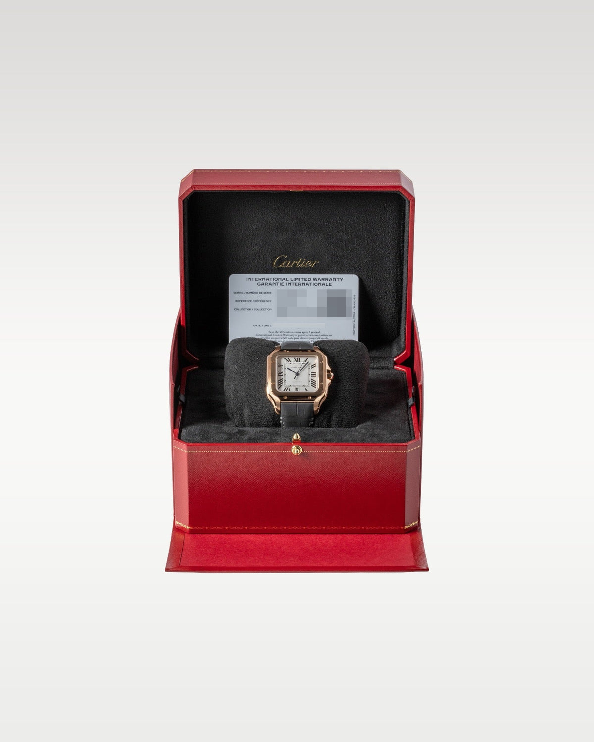 Cartier Santos De Cartier WGSA0019