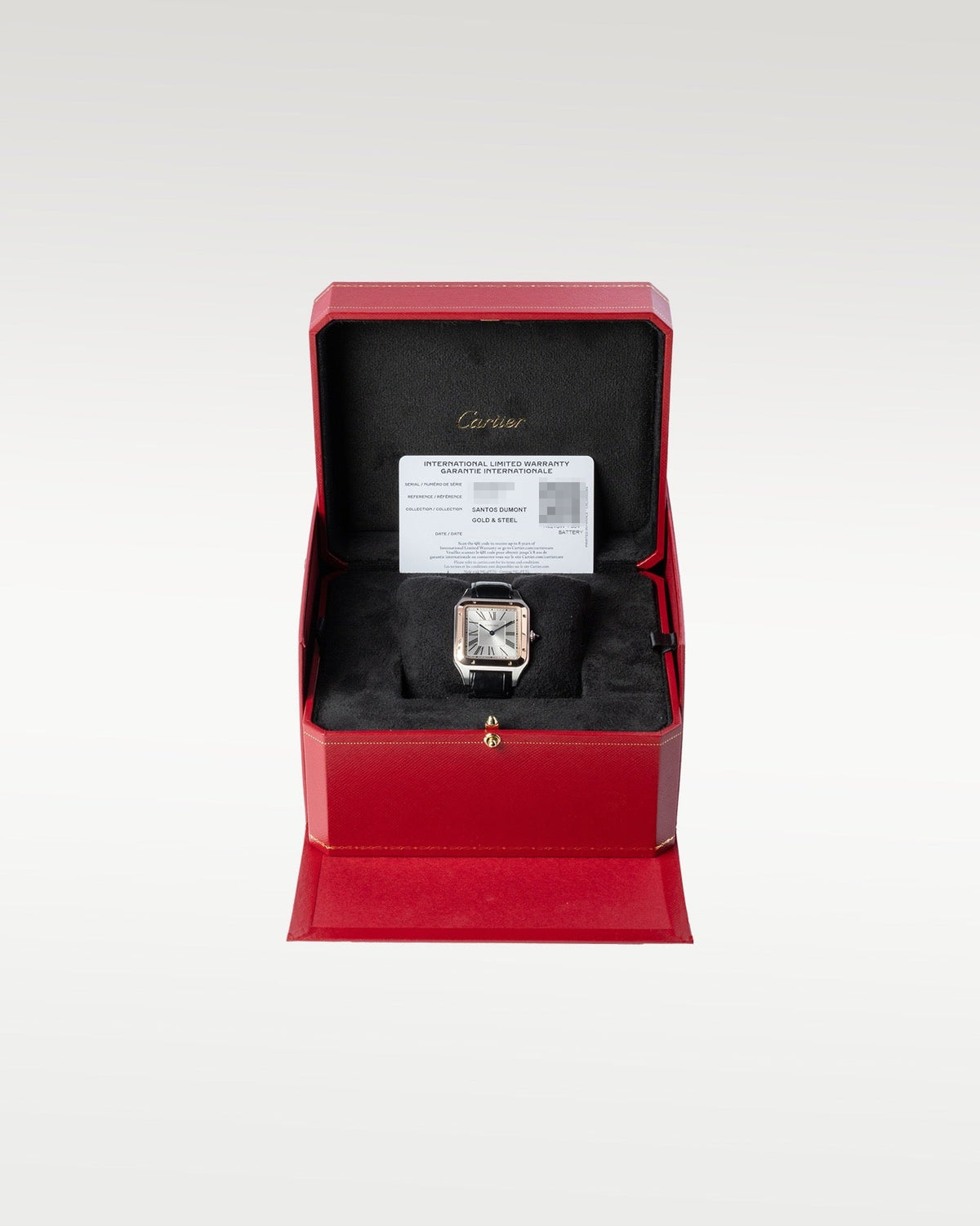 Cartier Santos Dumont W2SA0011