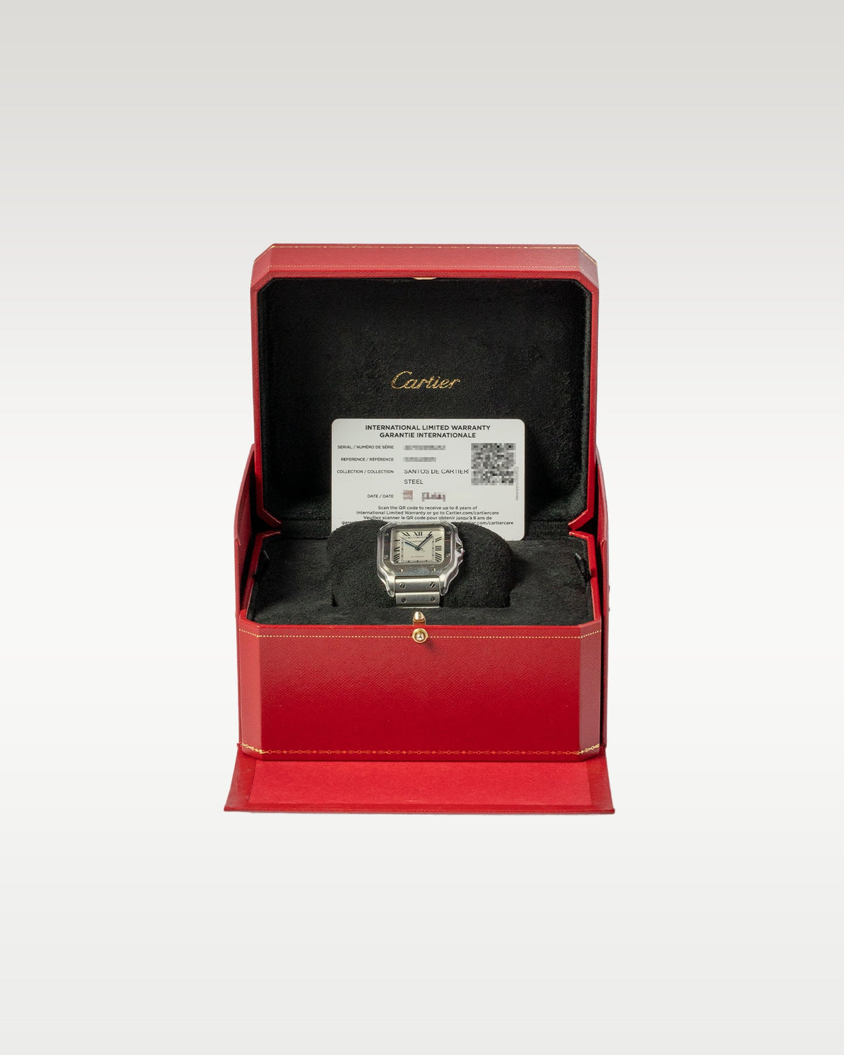 Cartier Santos Stainless Steel WSSA0029