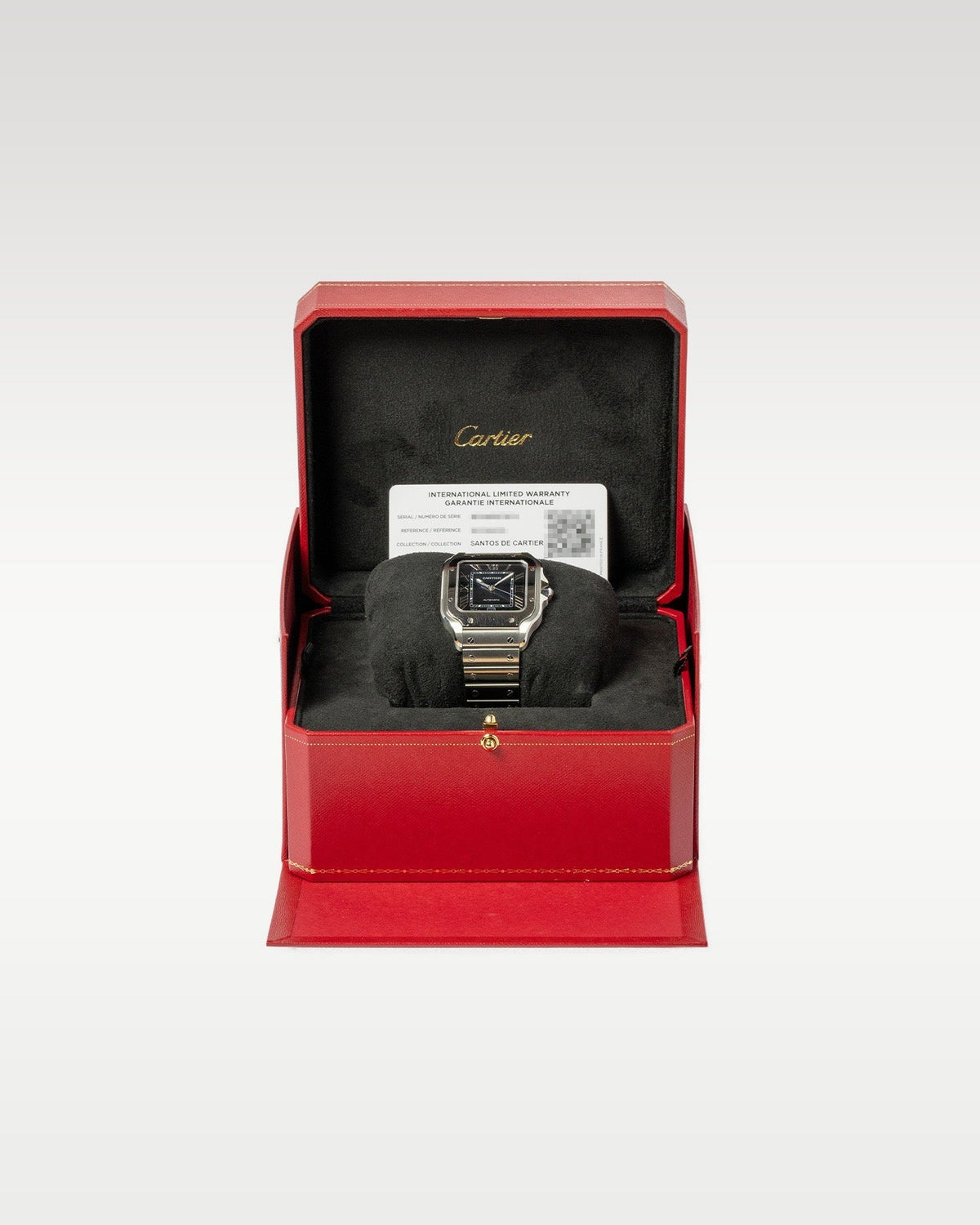 Cartier Santos Stainless Steel WSSA003