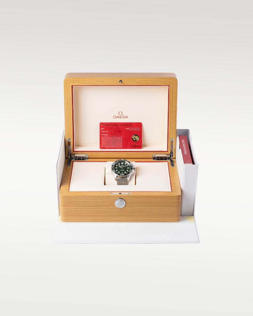 Omega Seamaster Master Chronometer 210.32.42.20.10.001