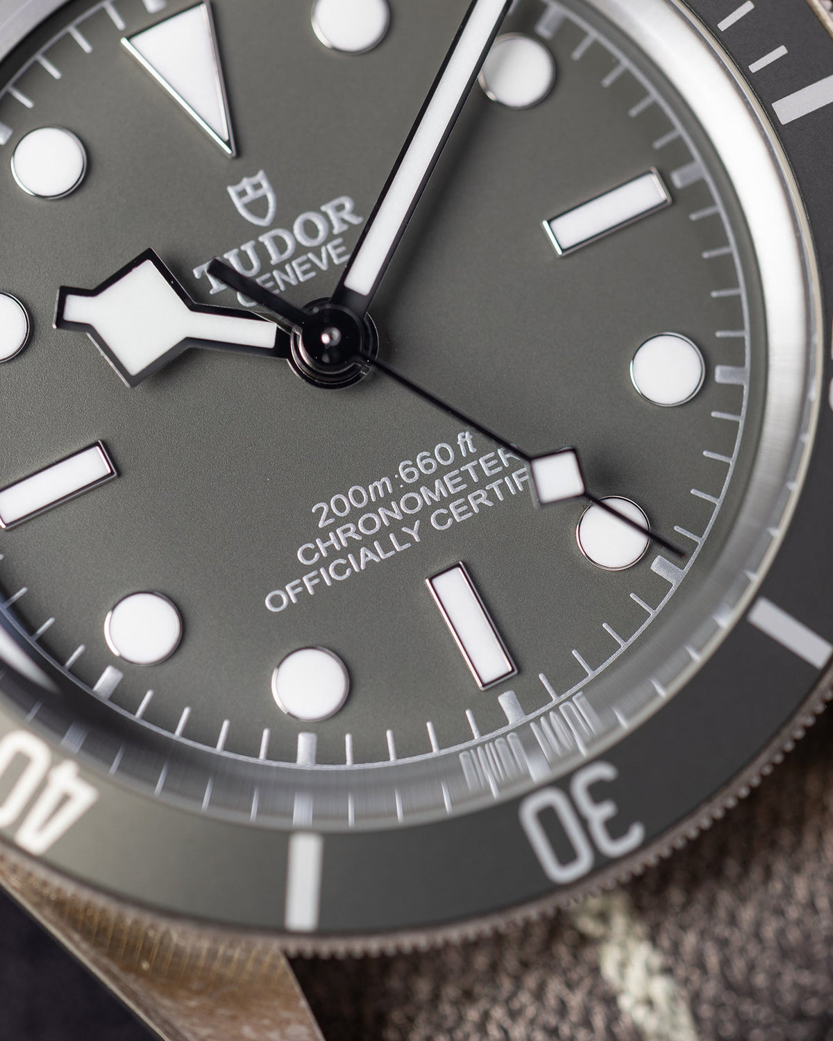 Tudor Black Bay 58 79010SG