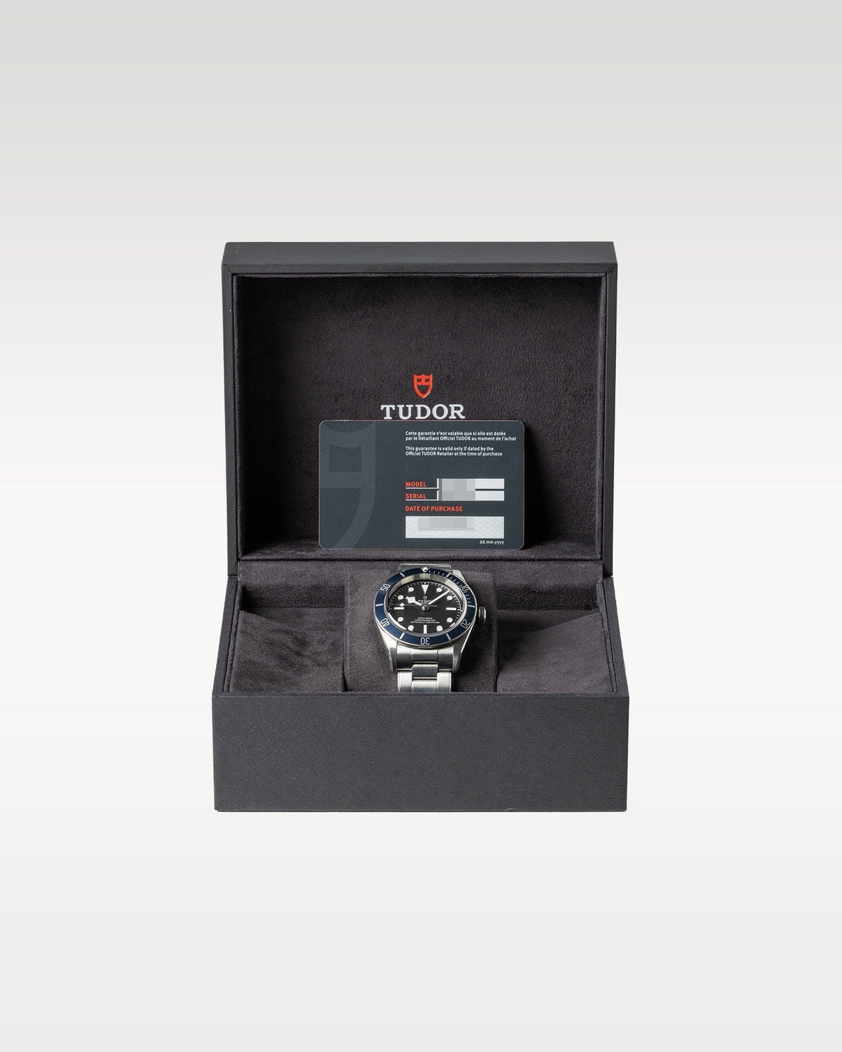 Tudor Black Bay 79230B