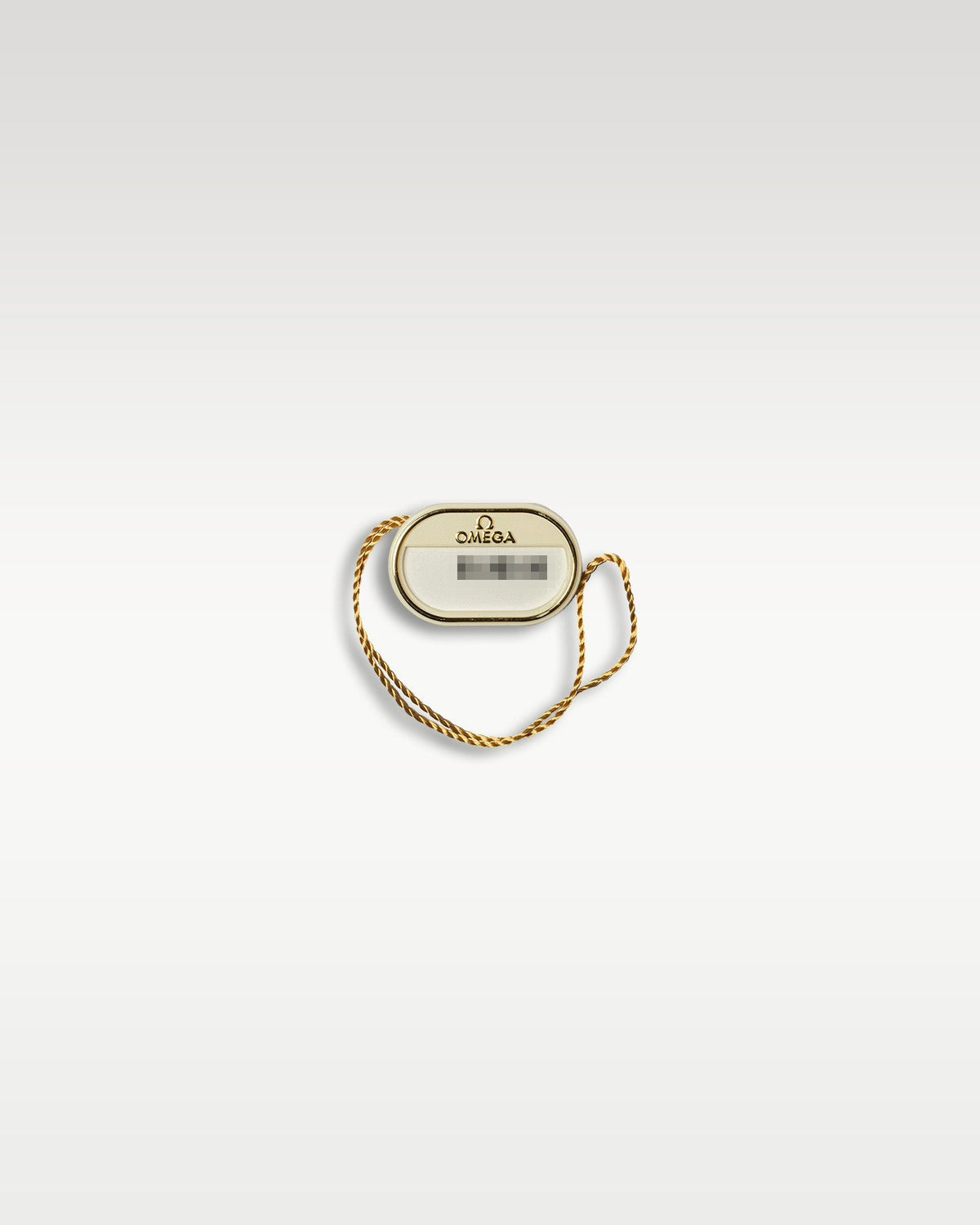 Omega Aquaterra 22010412110001