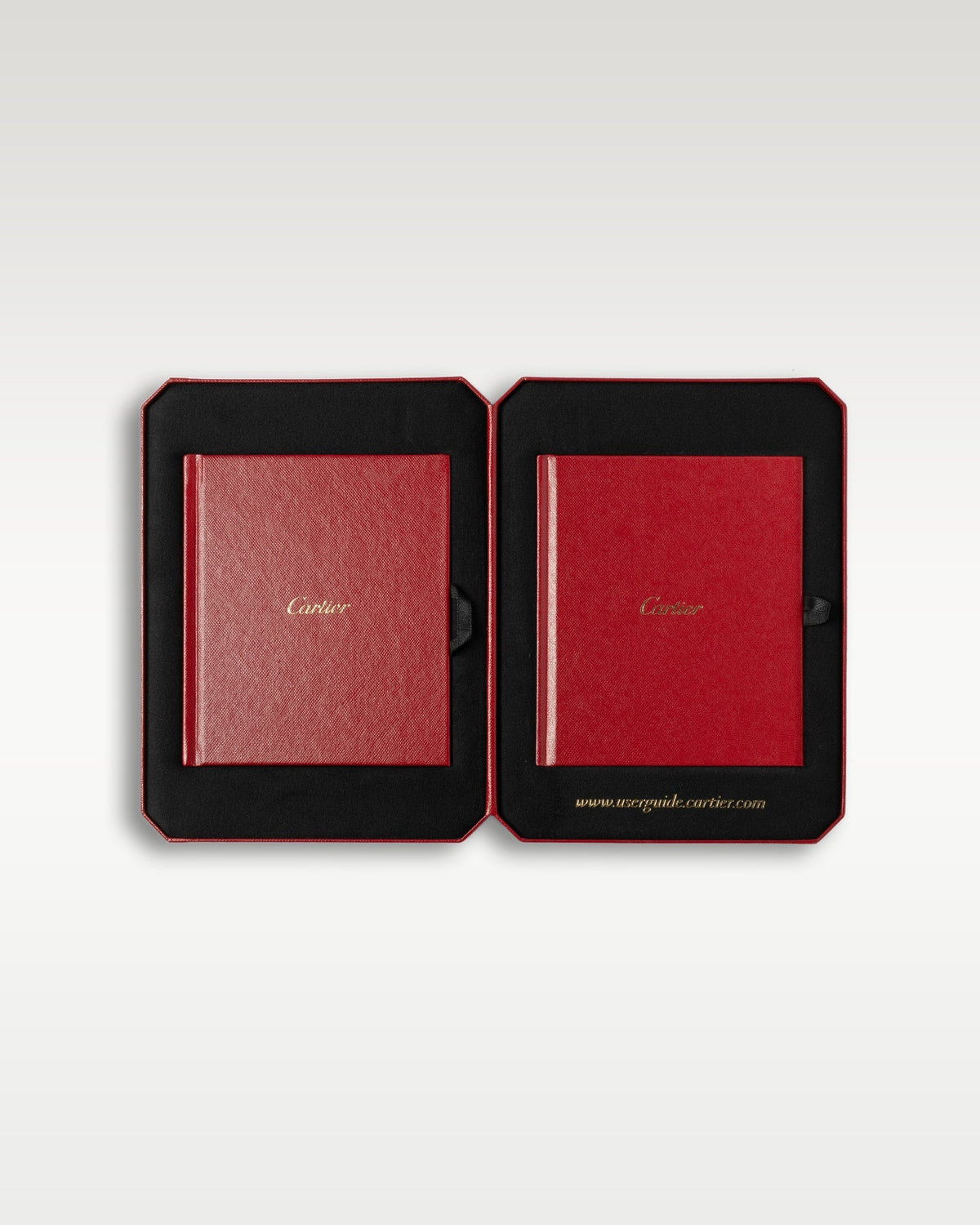 Cartier Santos-Dumont WHSA0032