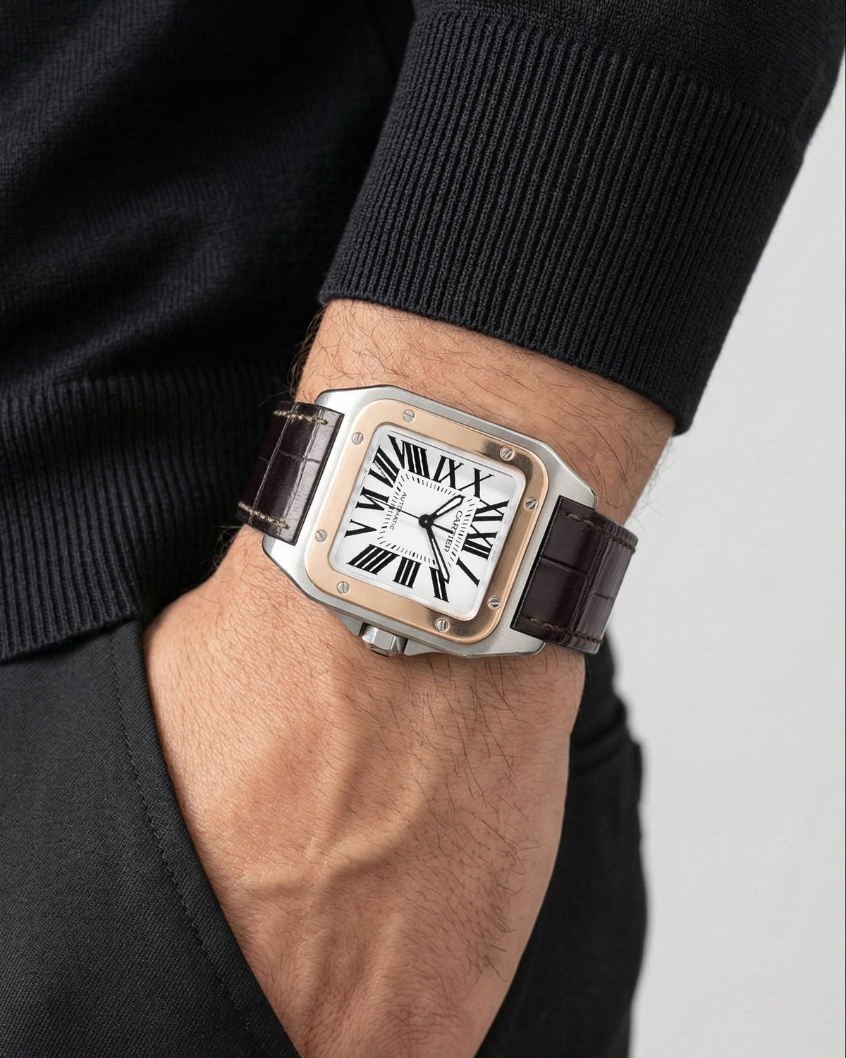 Cartier Santos 100 W20107X7