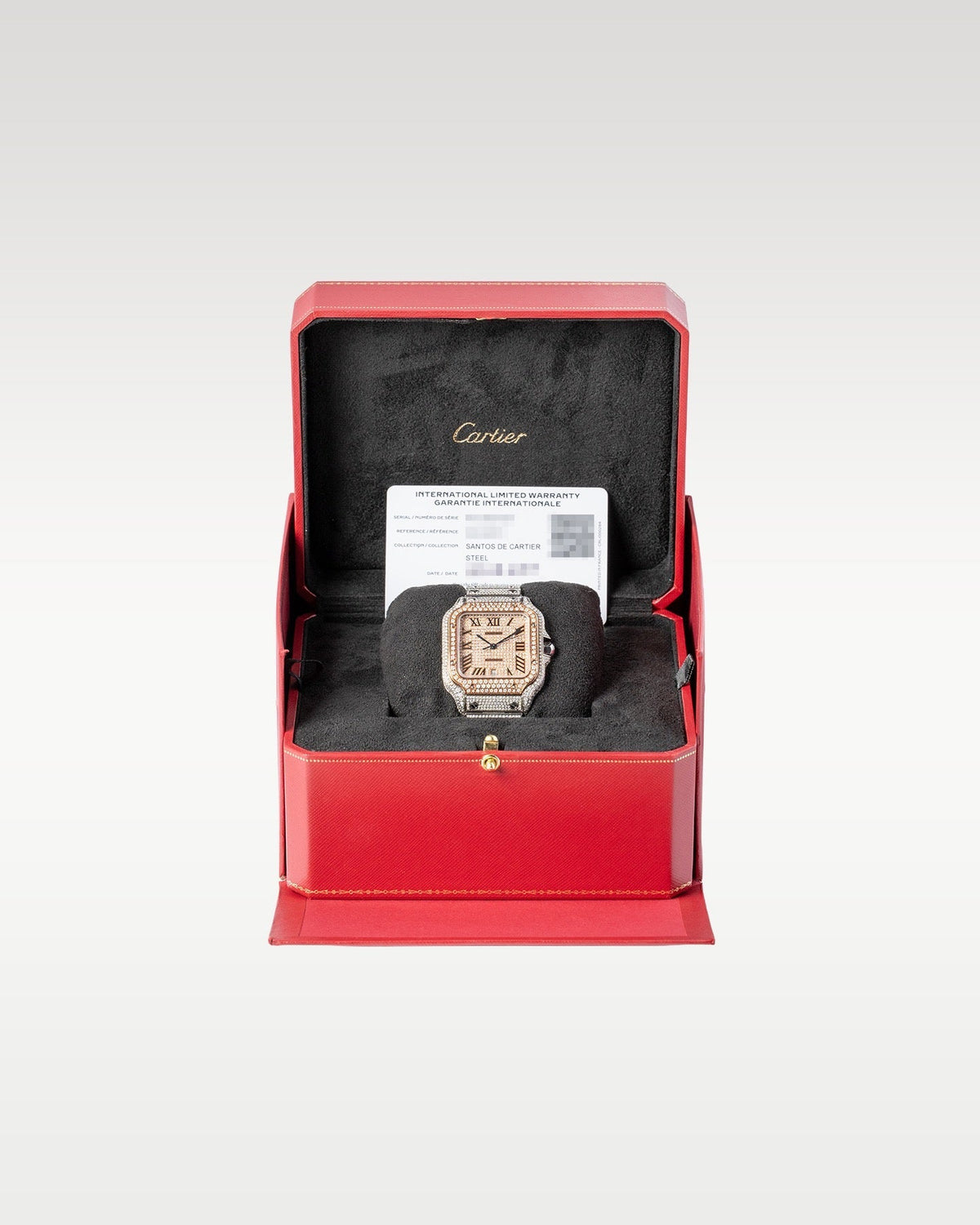 Cartier Santos De Cartier WSSA0018