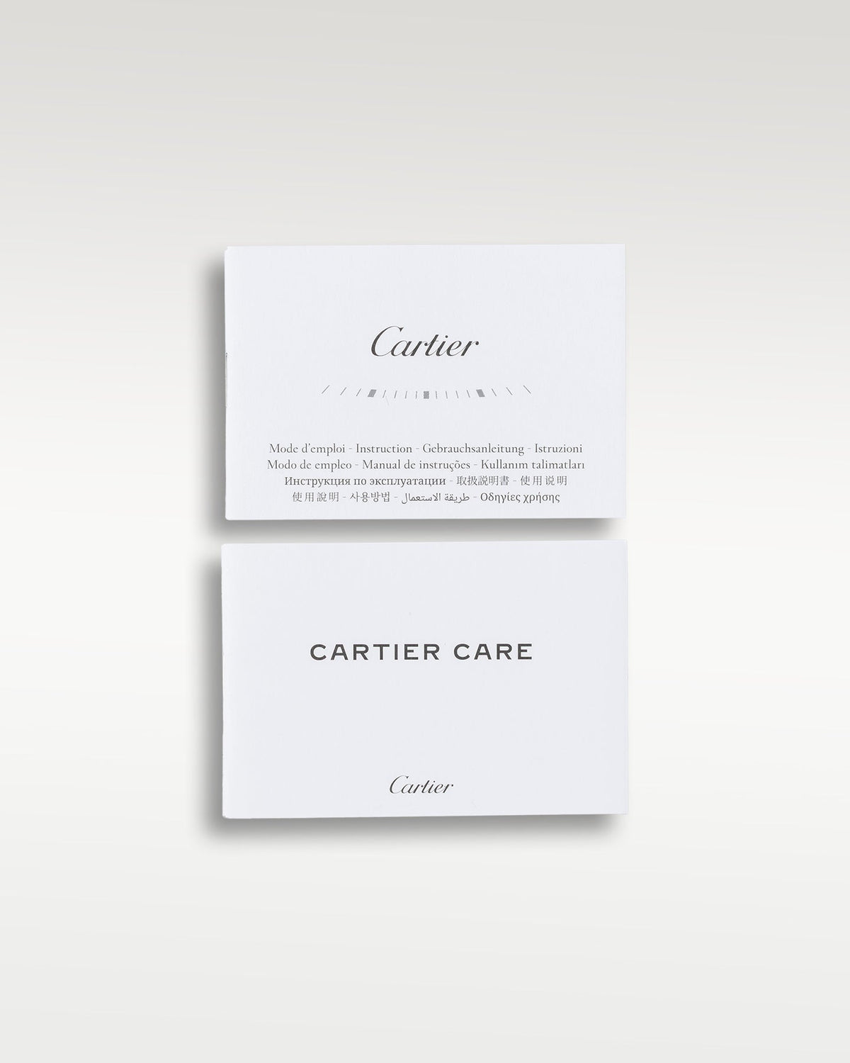 Cartier Santos De Cartier WSSA0018
