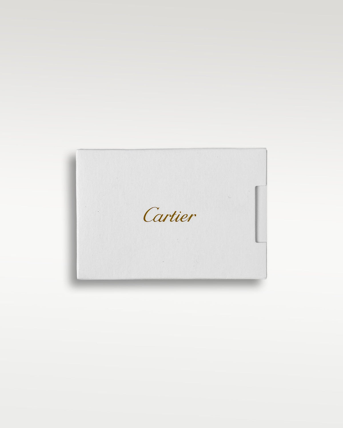 Cartier Santos De Cartier WSSA0018