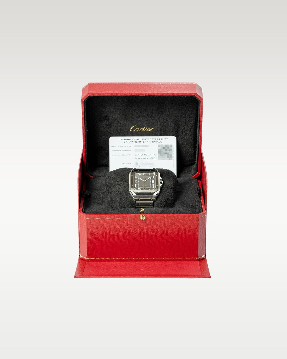 Cartier Santos WSSA0037