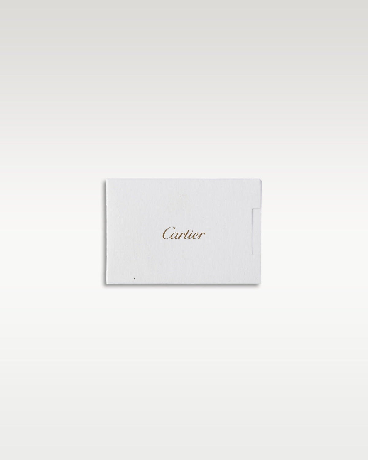 Cartier Santos WSSA0065