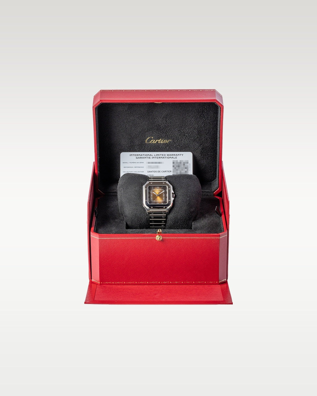 Cartier Santos WSSA0065