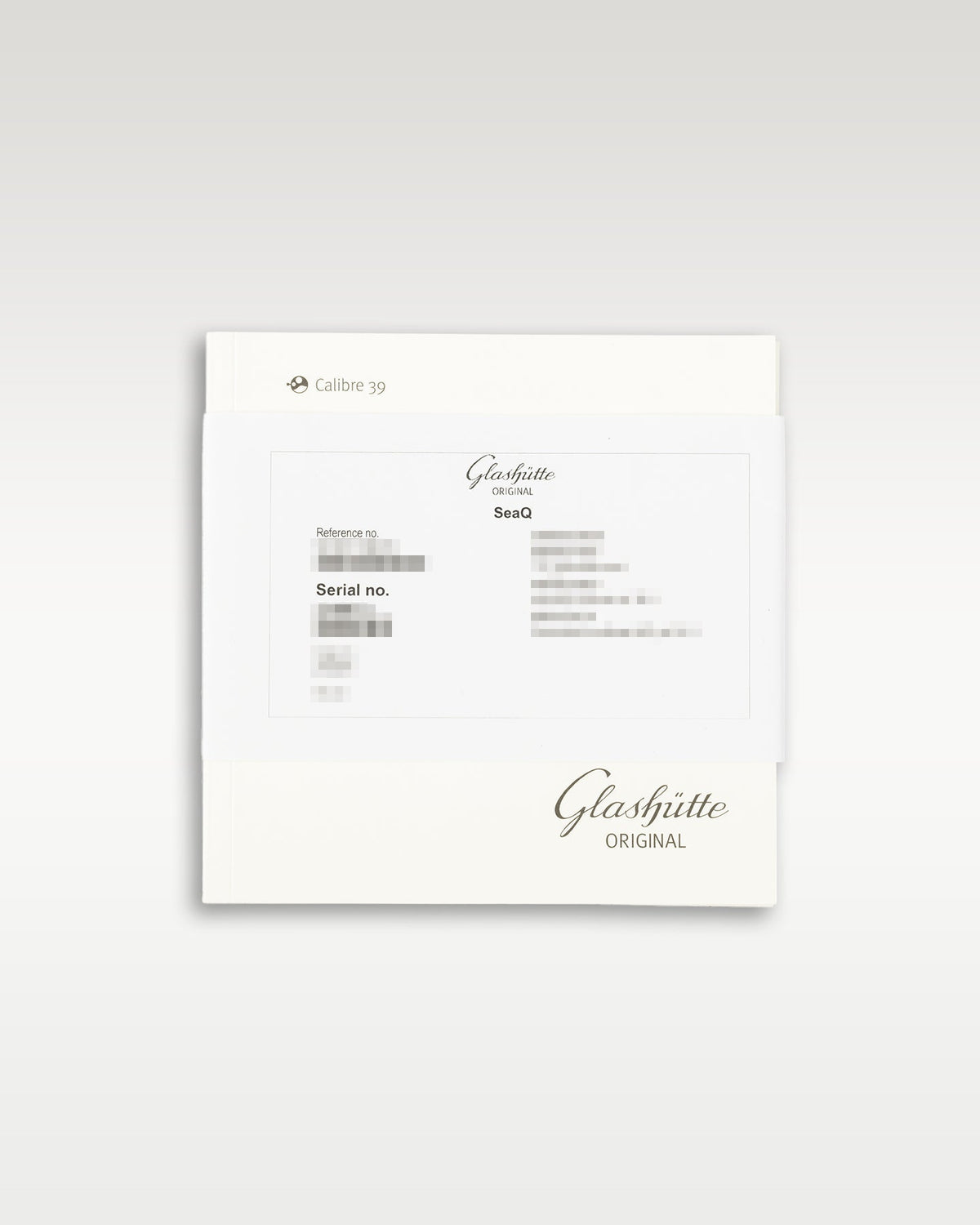 Glashütte Original Seaq 13911138370
