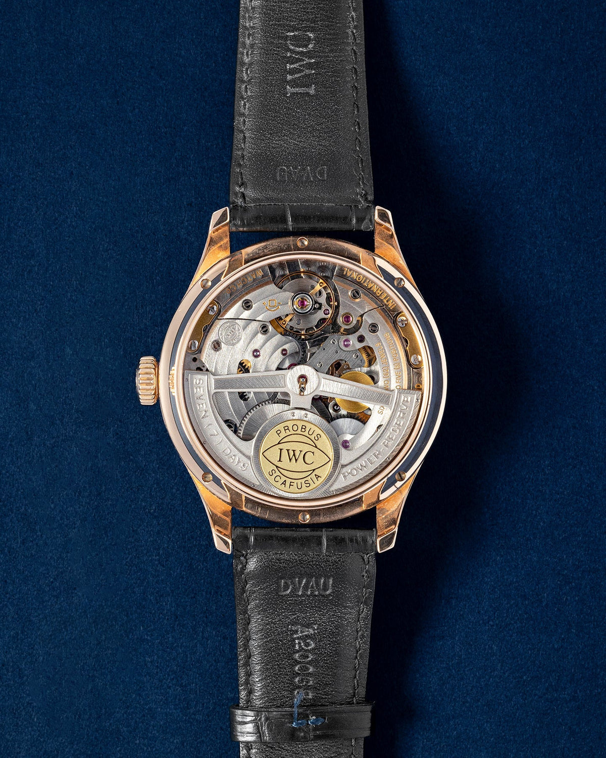 IWC Portugieser Perpetual Calendar IW502302
