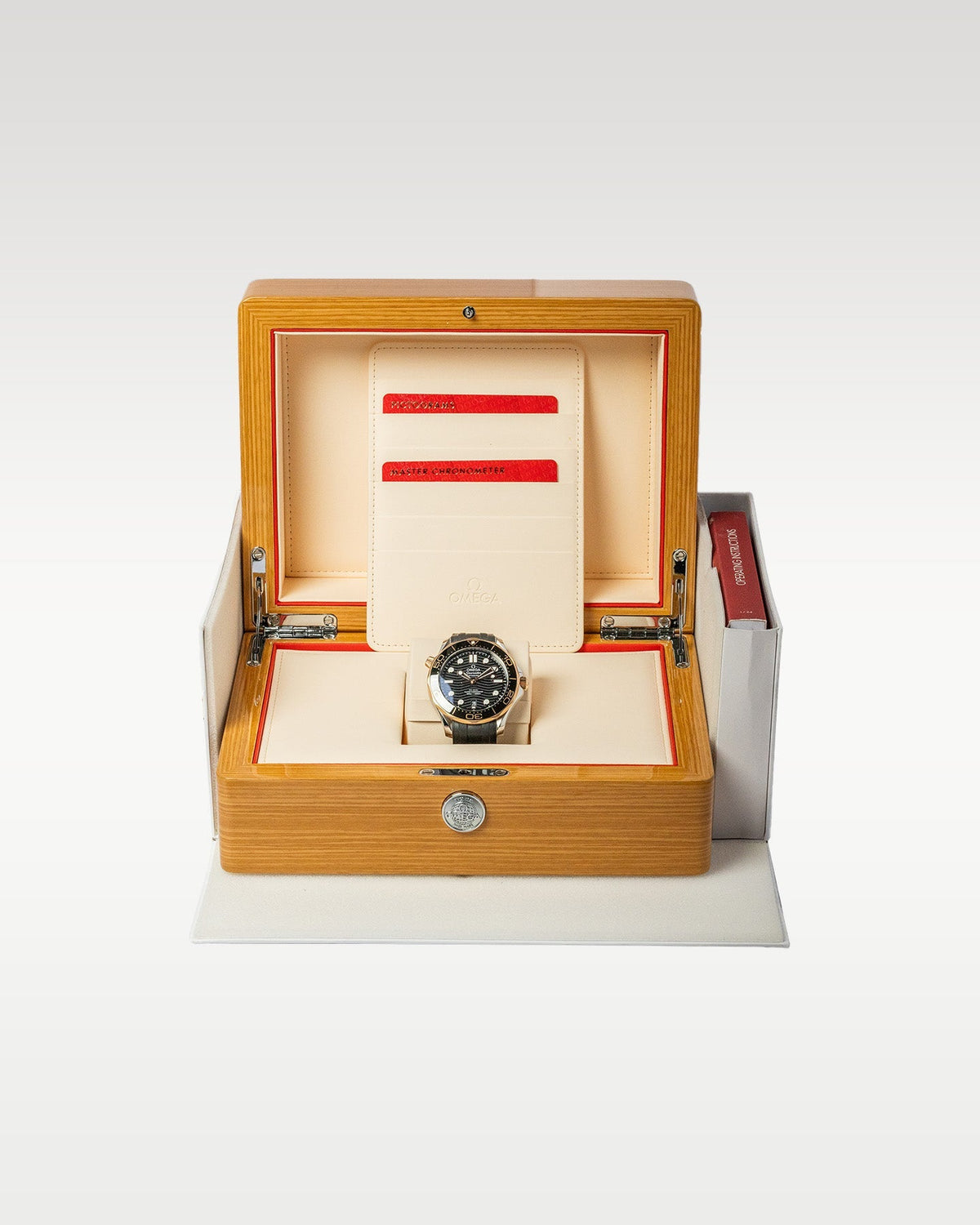 Omega Seamaster 300 21022422001002