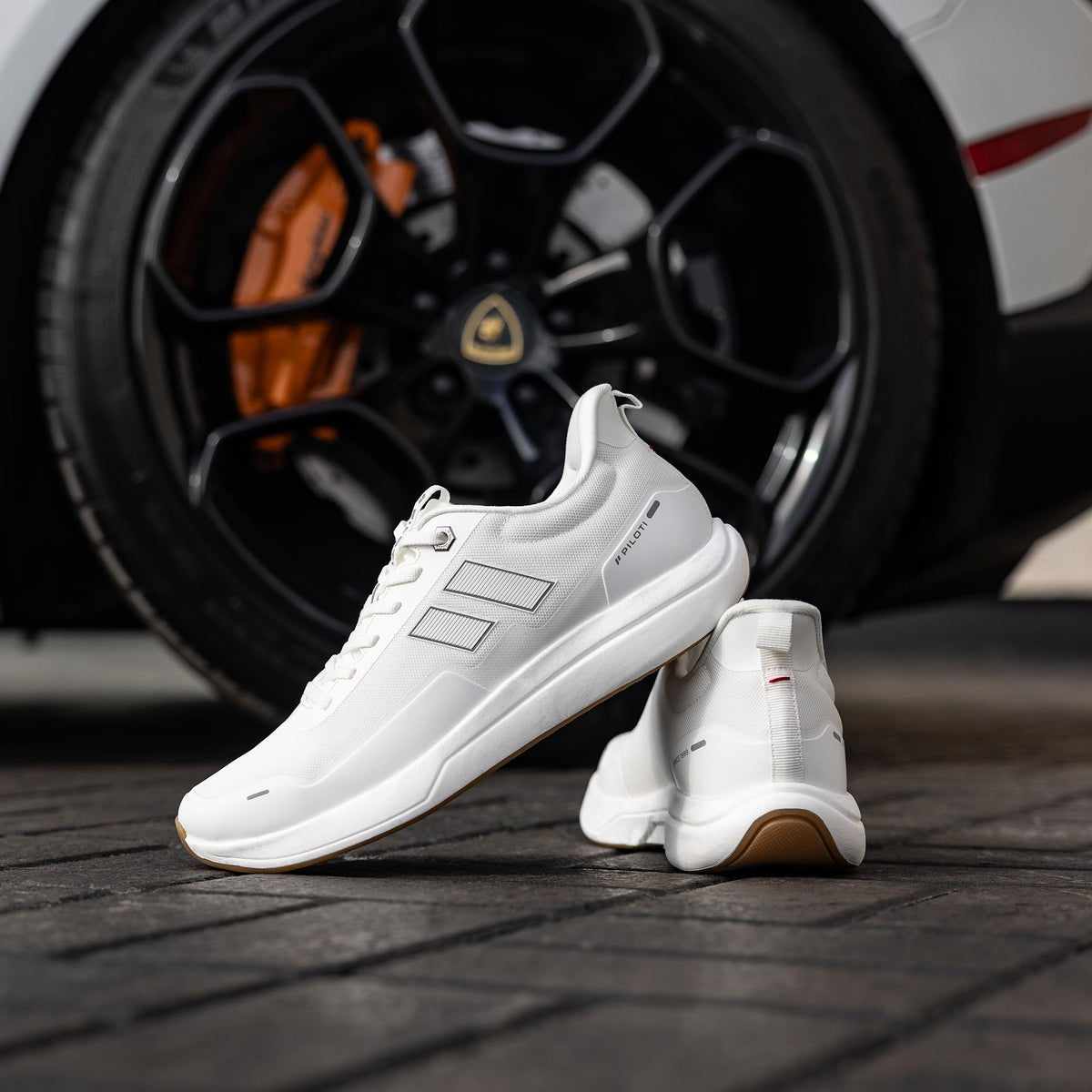 Paddock - White/White