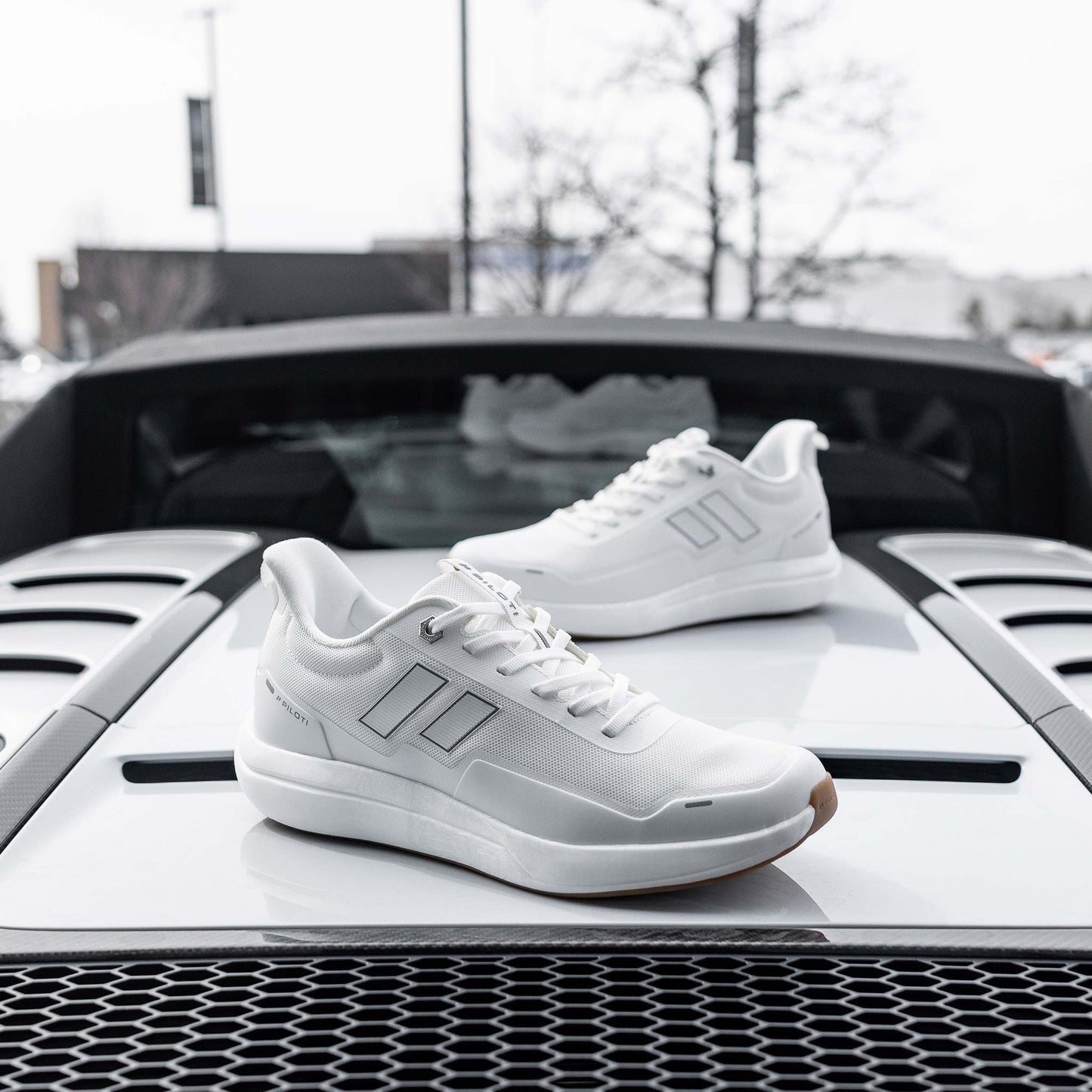 Paddock - White/White