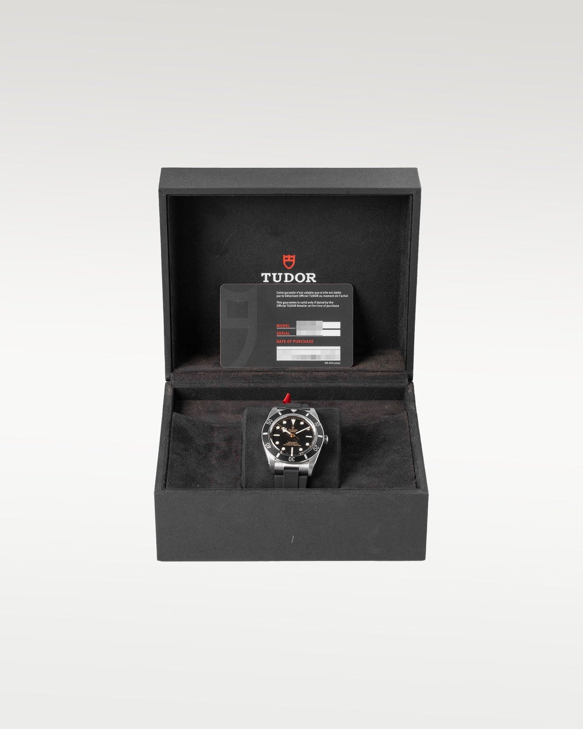 Tudor Black Bay 54 M79000N-0002