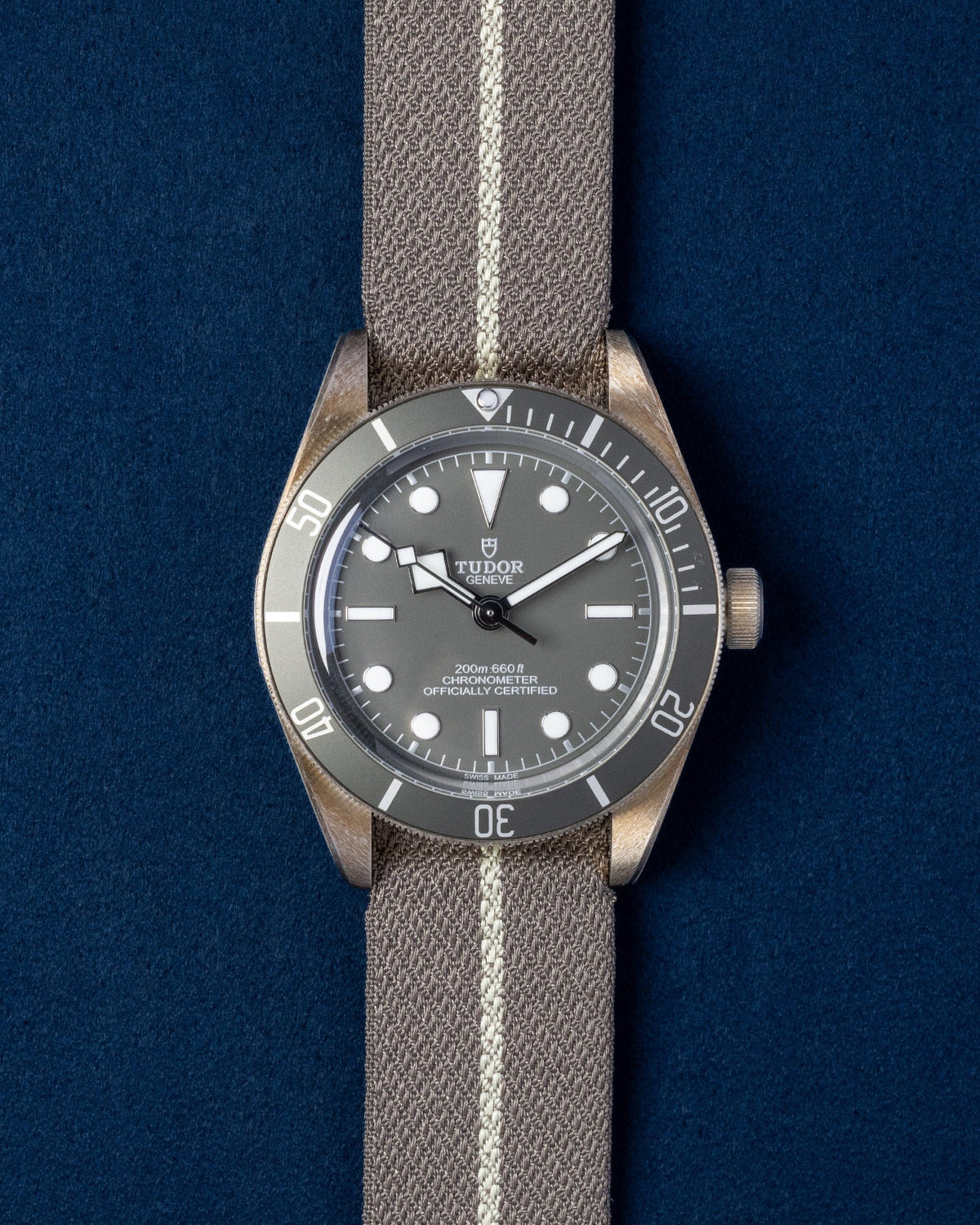 Tudor Black Bay 58 79010SG