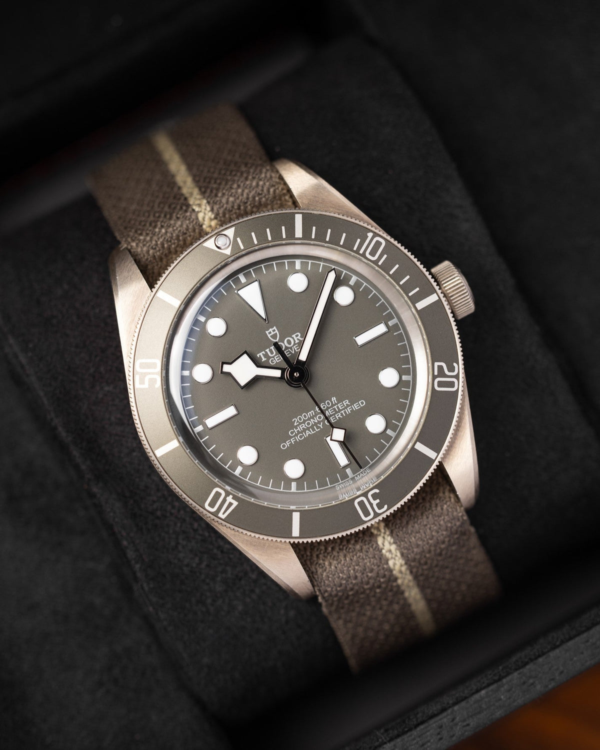 Tudor Black Bay 58 925 79010SG