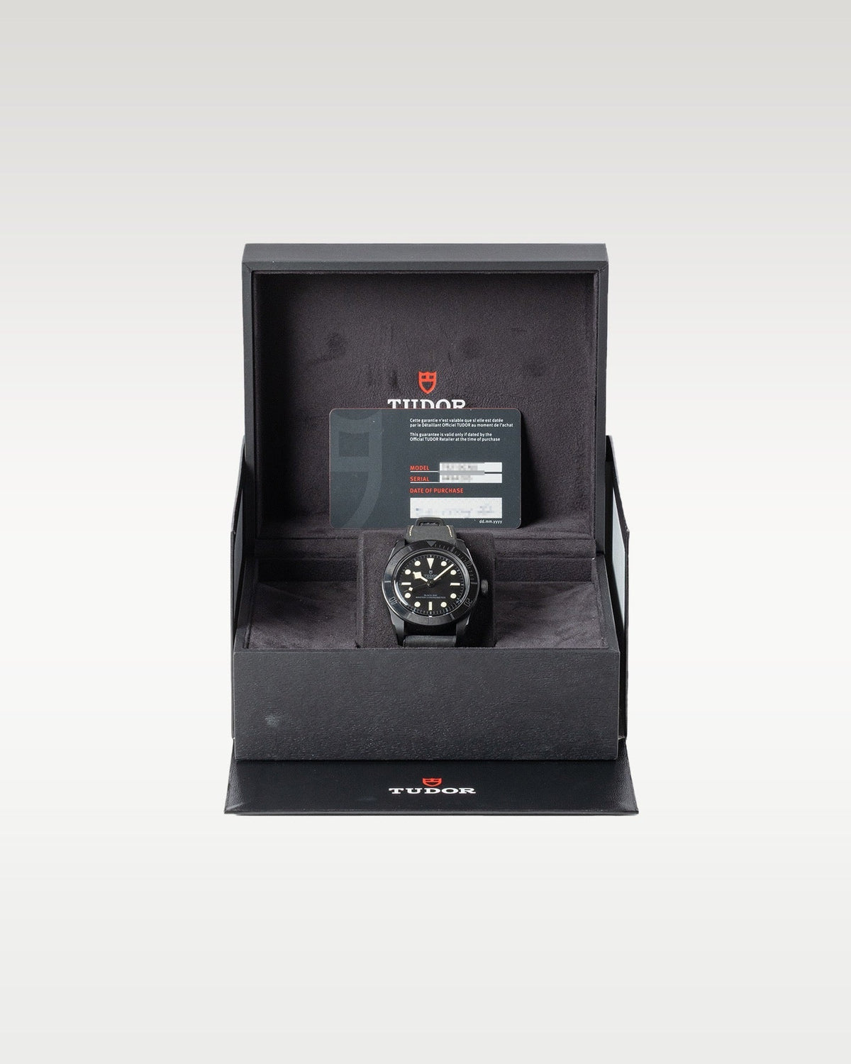 Tudor Black Bay 79210CNU