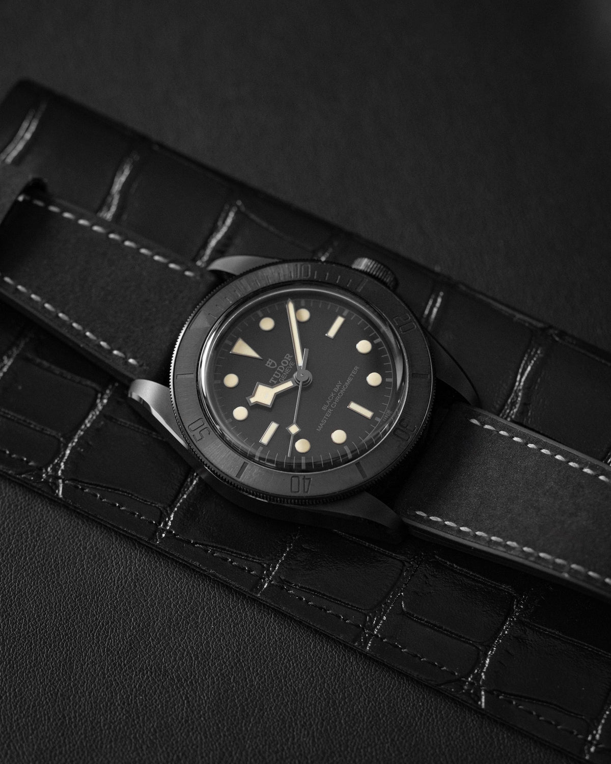 Tudor Black Bay 79210CNU