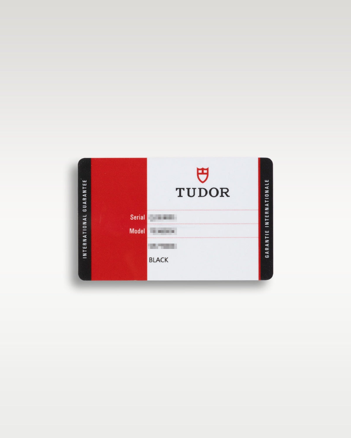 Tudor Black Bay 79220B