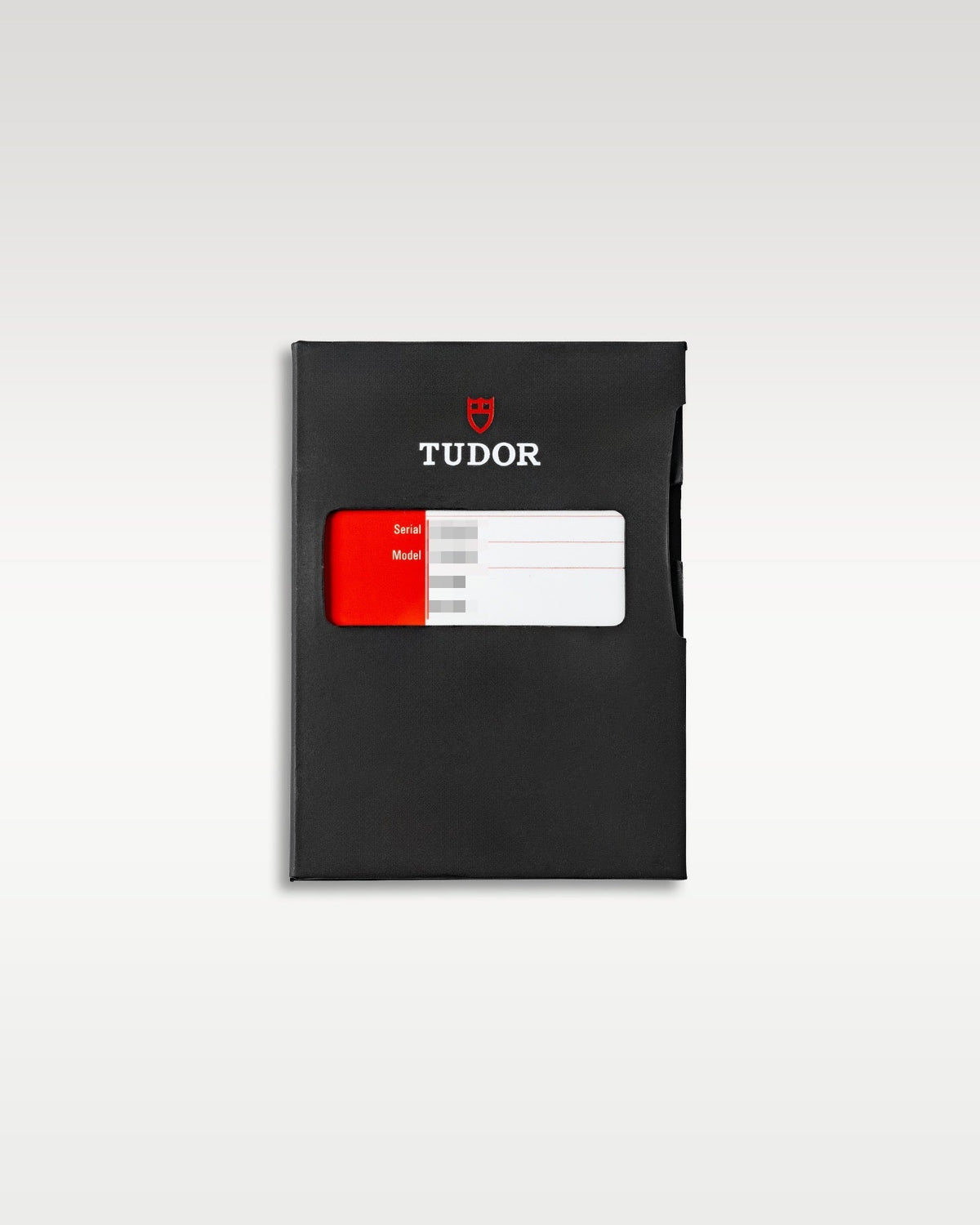 Tudor Black Bay 79220B