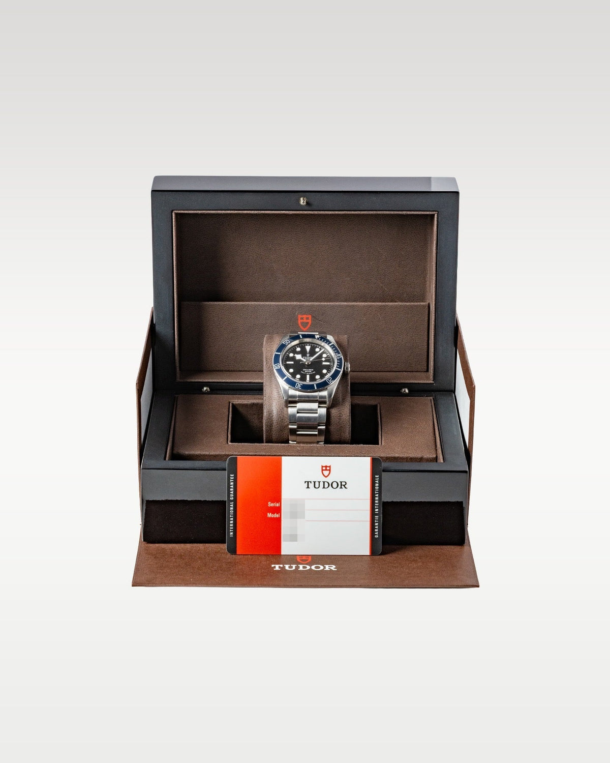 Tudor Black Bay 79220B