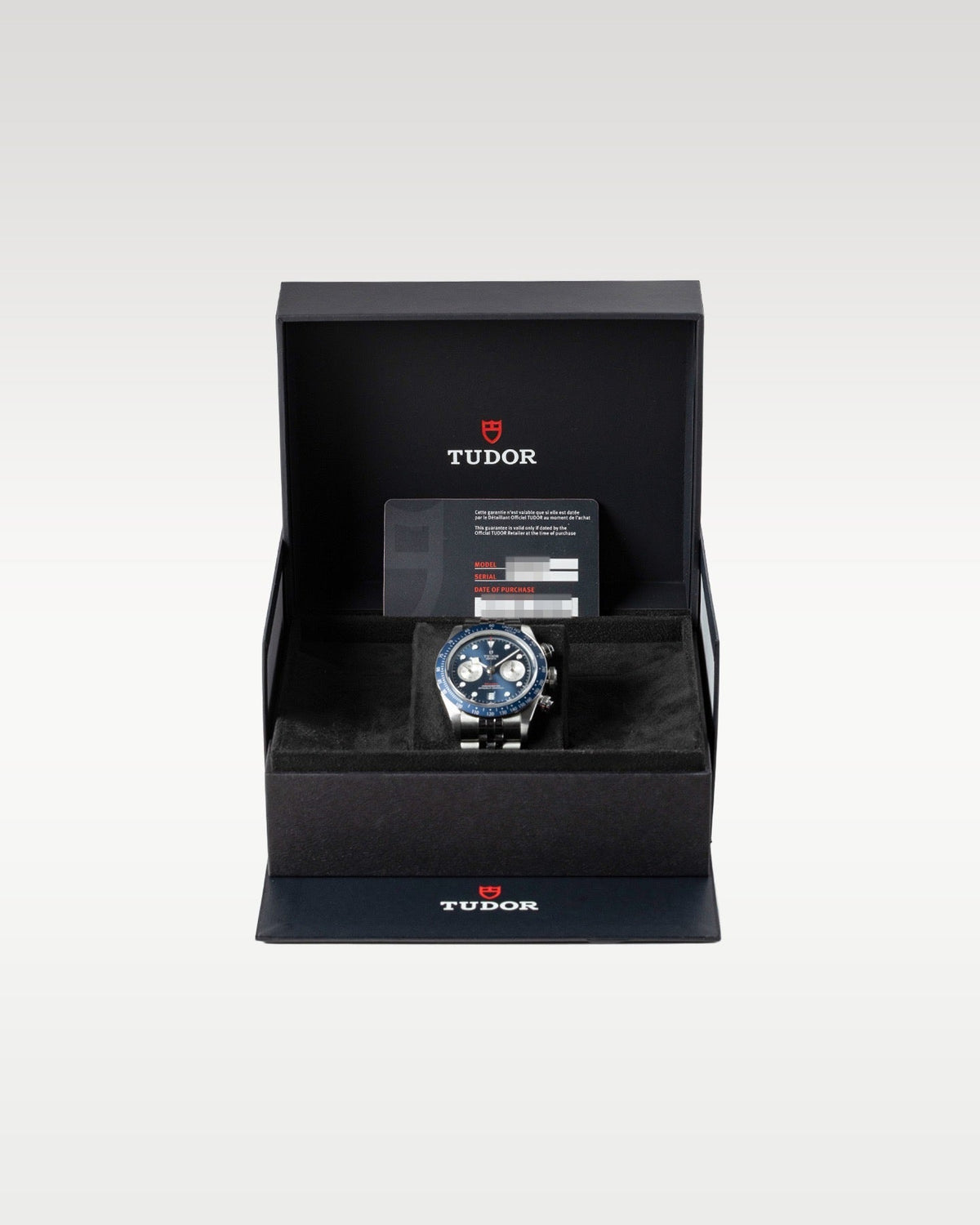Tudor Black Bay 79360B