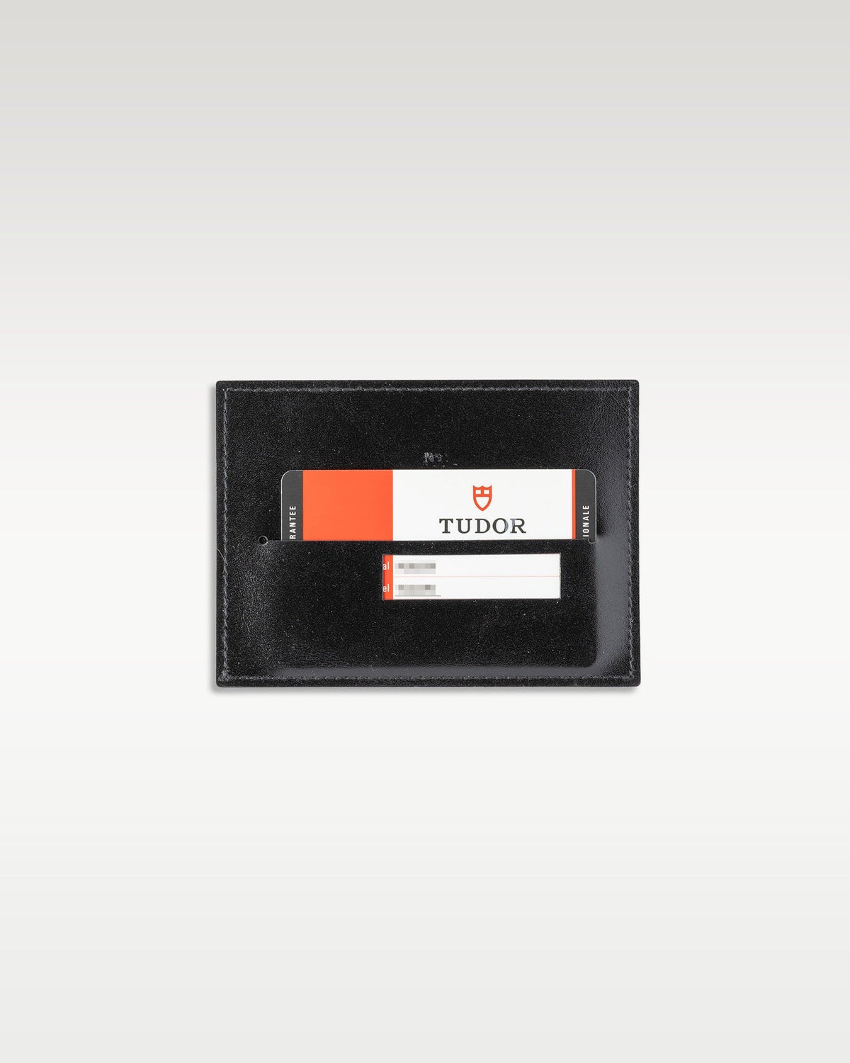 Tudor North Flag 91210N