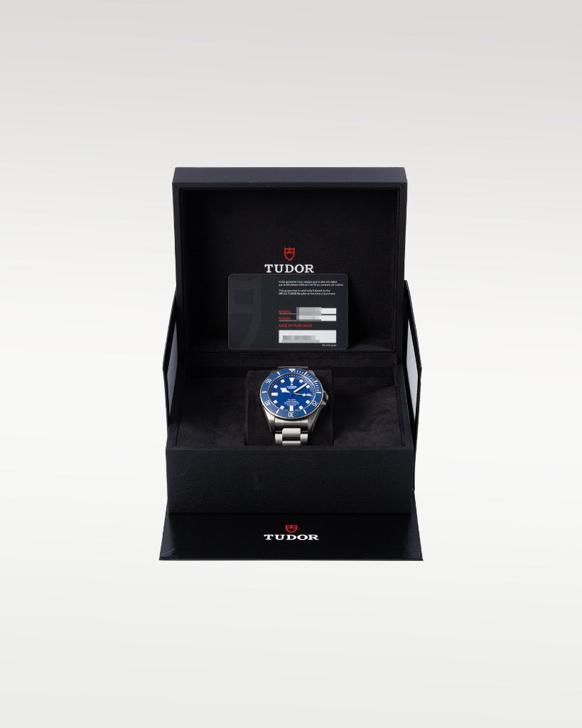 Tudor Pelagos 25600TB