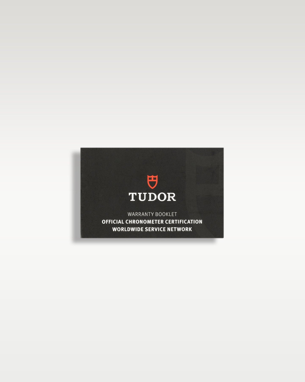 Tudor Black Bay 7941A1A0RU