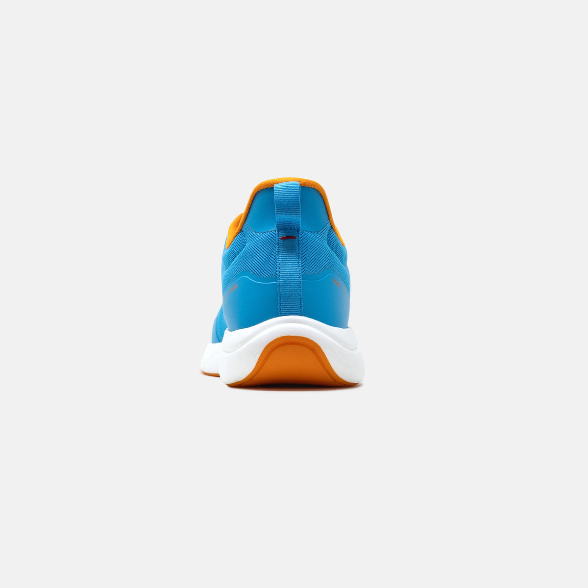 Paddock - Blue/Orange/White